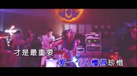 桃花运 DJ沈念版 DJ夜店车载MV视频现场