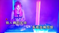 金包银 广场舞版 DJ美女打碟车载MV视频现场