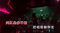 半生忧 DJPad仔版 DJ夜店车载MV视频现场