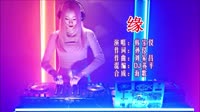 缘 DJ苏平版 DJ夜店车载MV视频现场