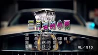 三月裡的小雨 DJ版 DJ夜店车载MV视频现场