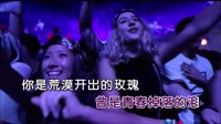 荒漠玫瑰 DJ默涵版 DJ夜店车载MV视频现场 龙江辉 MV音乐在线观看