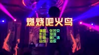 燃烧吧火鸟 DJ夜店车载MV视频现场