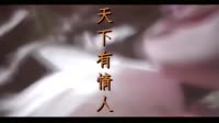 周华健vs齐豫-天下有情人 周华健 MV音乐在线观看