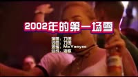 2002年的第一场雪 McYaoyao DJ夜店车载MV视频现场 刀郎 MV音乐在线观看