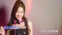 乘风来 DJ版 DJ美女打碟视频 李潇潇 MV音乐在线观看