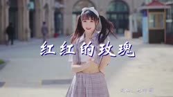 红红的玫瑰 DJcandy 美女热舞汽车音响视频