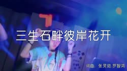 三生石畔彼岸花开 DJ沈念版 夜店美女车载dj视频酒吧现场