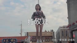 红玫瑰 DJLeo 美女热舞汽车音响视频