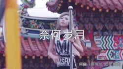 奈何岁月 DJ可乐版 美女热舞汽车音响视频 海来阿木 MV音乐在线观看