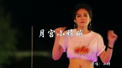 月宫小嫦娥 DJ平仔 美女热舞汽车音响视频