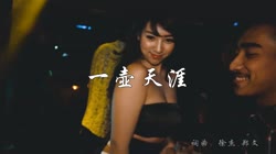王琪vs欣宝儿 一壶天涯 DJ沈念版 夜店美女车载dj视频酒吧现场