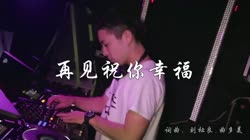 黄静美vs老板 再见祝你幸福 DJ武圣雄 夜店美女车载dj视频酒吧现场