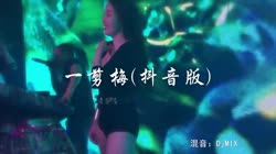 一剪梅 夜店美女车载dj视频酒吧现场 王心雅 MV音乐在线观看