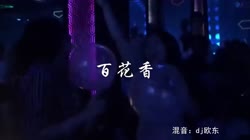 百花香 dj欧东 夜店美女车载dj视频酒吧现场