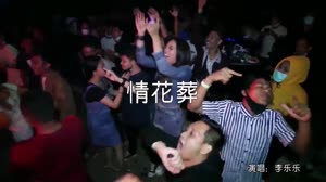情花葬 DJ沈念版 夜店美女车载dj视频酒吧现场
