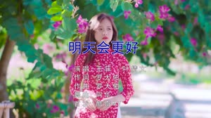 王菲vs叶倩文 明天会更好 DJ阿华 美女写真DJ车载视频