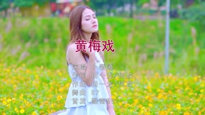 黄梅戏 DJR7 美女写真DJ车载视频 小潘潘 MV音乐在线观看