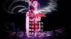 又见山里红 DJ版 DJ美女打碟现场视频 祁隆 MV音乐在线观看