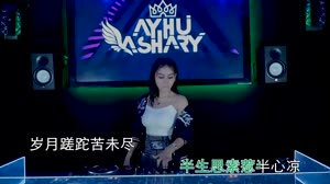半生 DJ沈念 DJ美女打碟现场视频 范茹 MV音乐在线观看