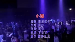 小薇 罗百吉 夜店MV车载DJ视频