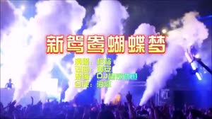 新鸳鸯蝴蝶梦 Dj酱爆鱿鱼 经典老歌DJ夜店视频 格格 MV音乐在线观看
