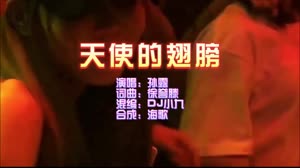 天使的翅膀 DJ小九 Electro 夜店DJ车载MV视频