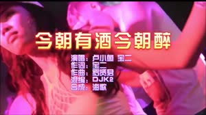 卢小鱼vs宝二 今朝有酒今朝醉 DJK2 ProgHouse 夜店dj视频蹦迪车载MV现场视频