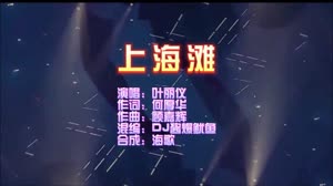 上海滩 国语版 DJ酱爆鱿鱼 DJ夜店车载MV视频现场