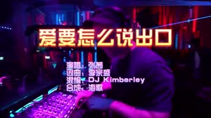 爱要怎么说出口 DJKimberley版 DJ夜店车载MV视频现场