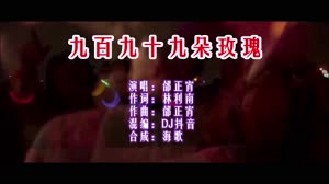 九百九十九朵玫瑰 DJ抖音版 DJ夜店车载MV视频现场
