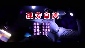 孤芳自赏 DJ舞曲版 DJ夜店车载MV视频现场